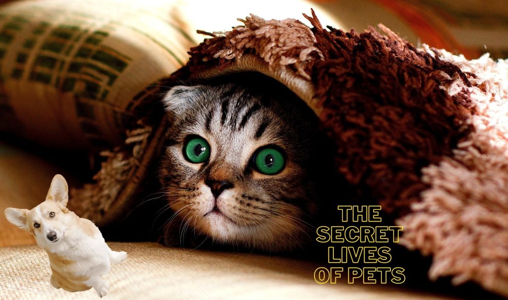 The Secret Lives of Pets