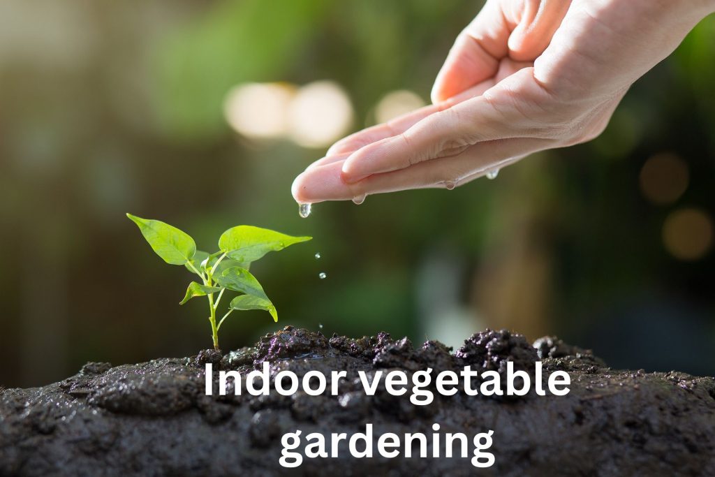 indoor vegetable gardening