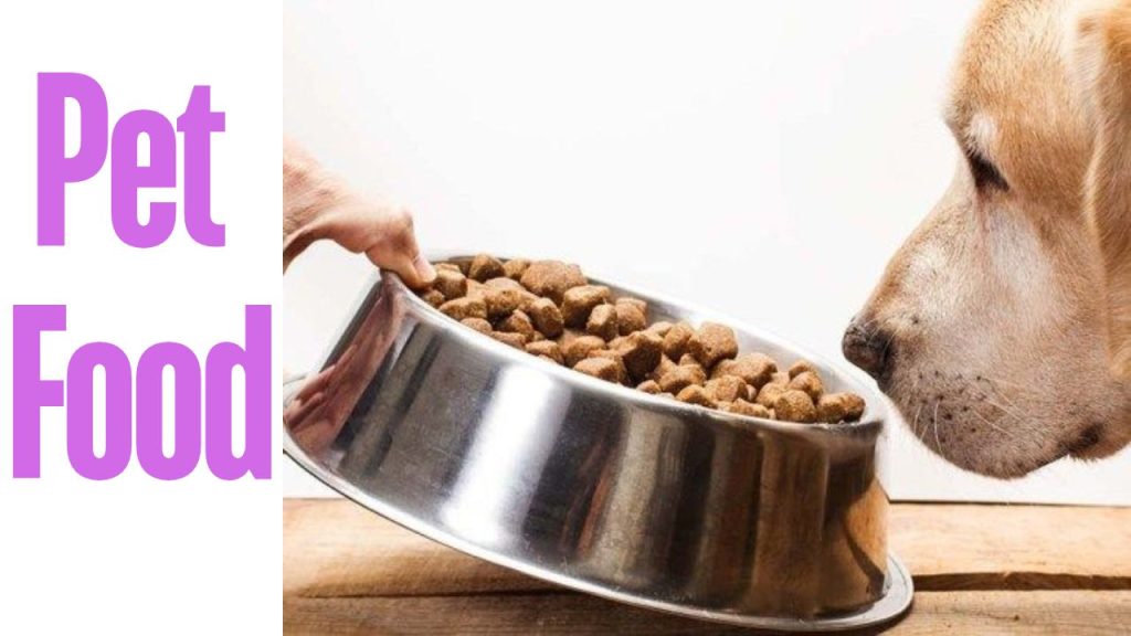 Best Dog Food for Sensitive Stomachs