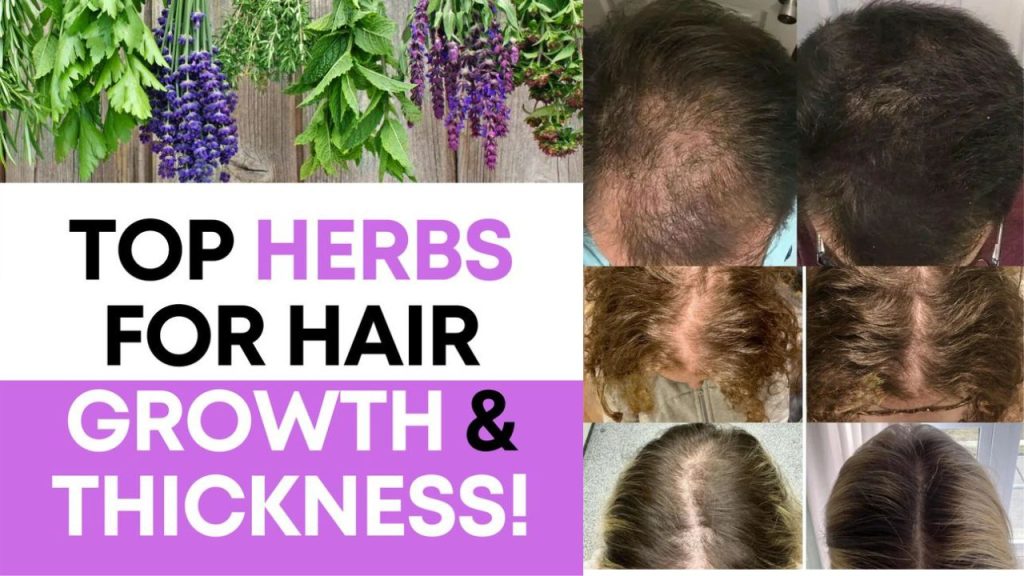 Herbs for Hair Growth