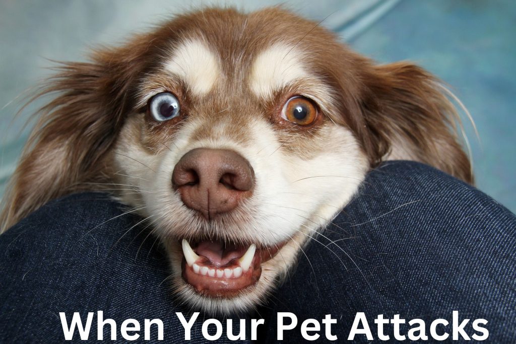 When Your Pet Attacks