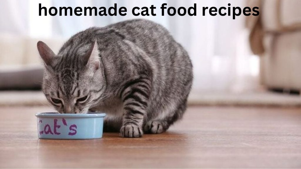 homemade cat food recipes