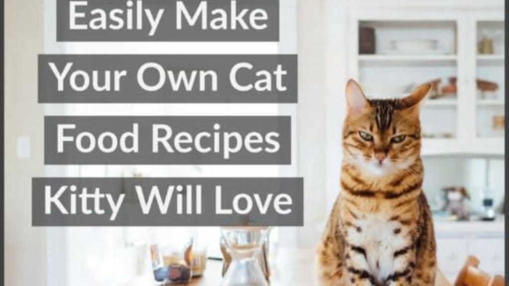 Homemade Cat Food Recipes