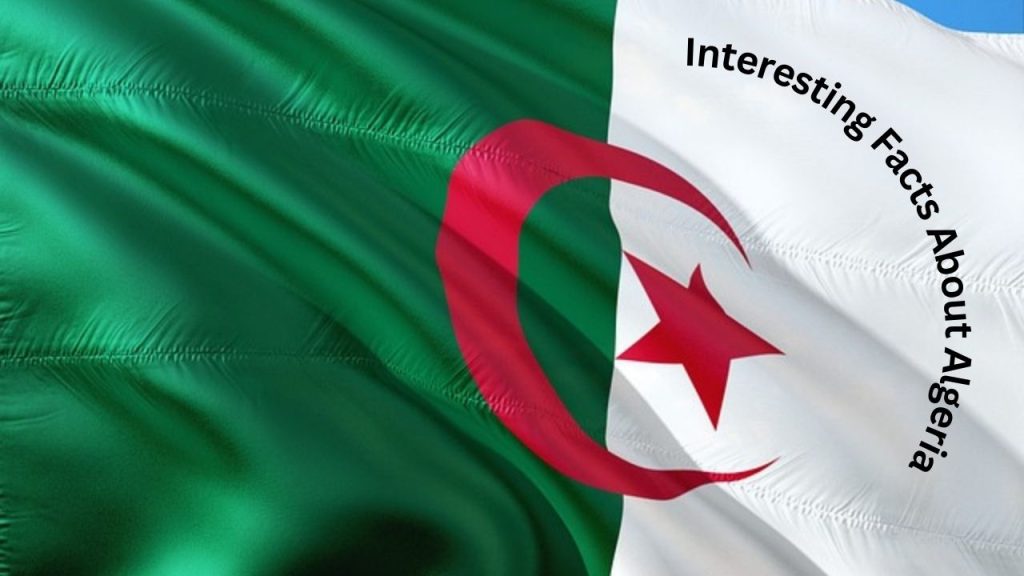 Interesting Facts About Algeria