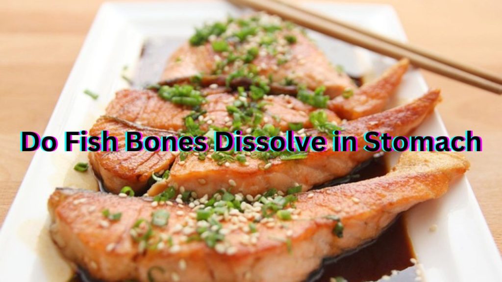 Do Fish Bones Dissolve in Stomach