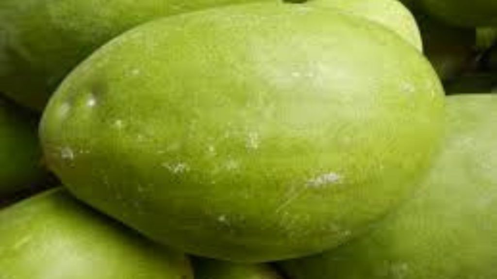 Health Benefits of winter melon