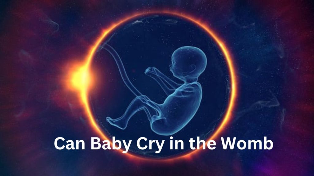 Can Baby Cry in the Womb