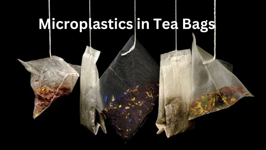 Microplastics in Tea Bags