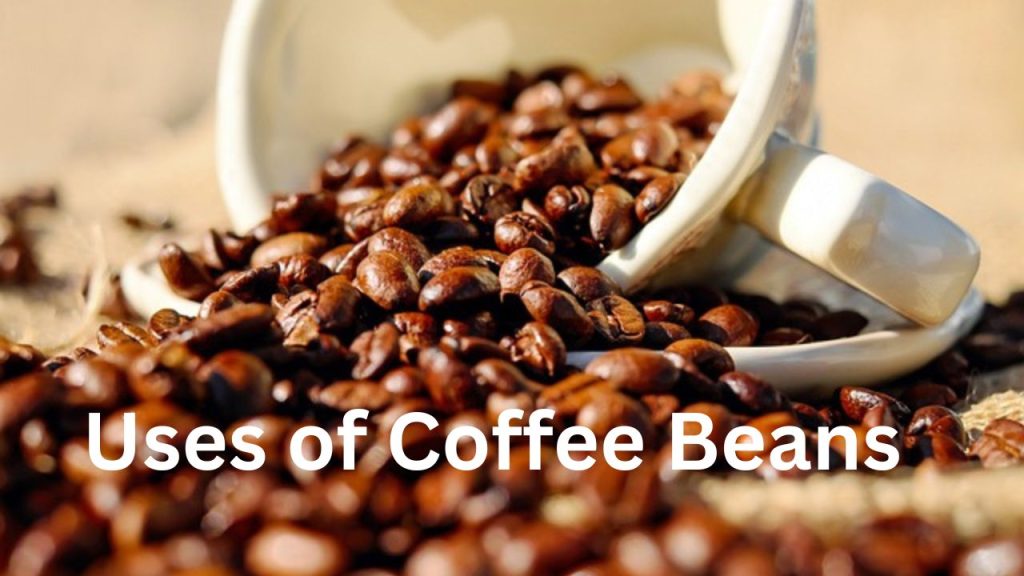 uses of coffee beans