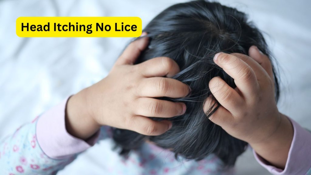 Head Itching No Lice