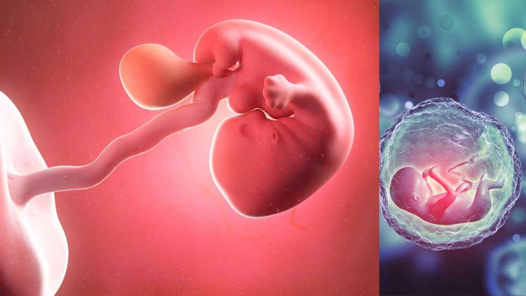 low lying placenta 