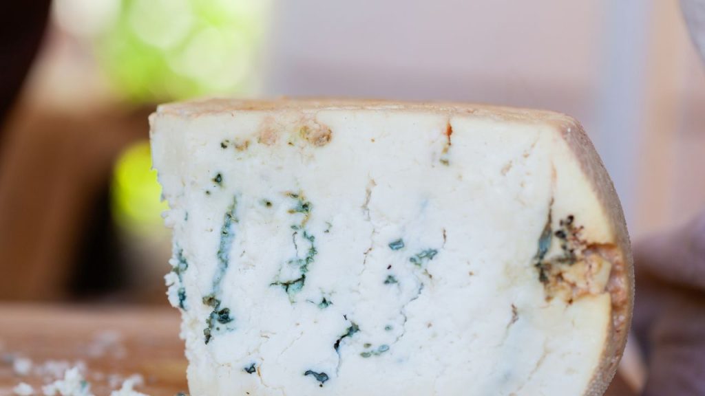 Masgonzola